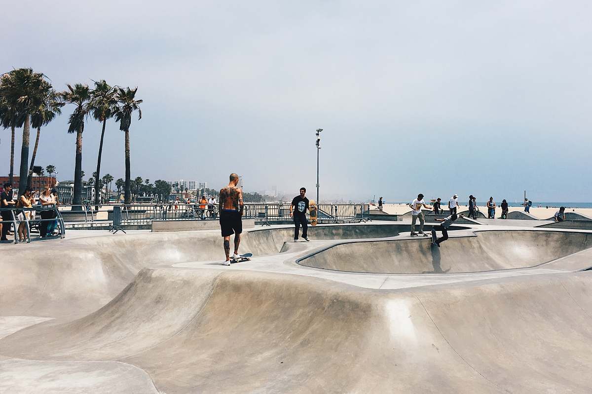 flora people playing skateboard on park during daytrime palm tree