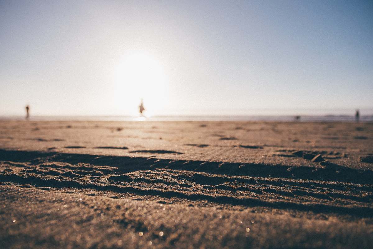nature shallow focus photography of brown soil ocean beach