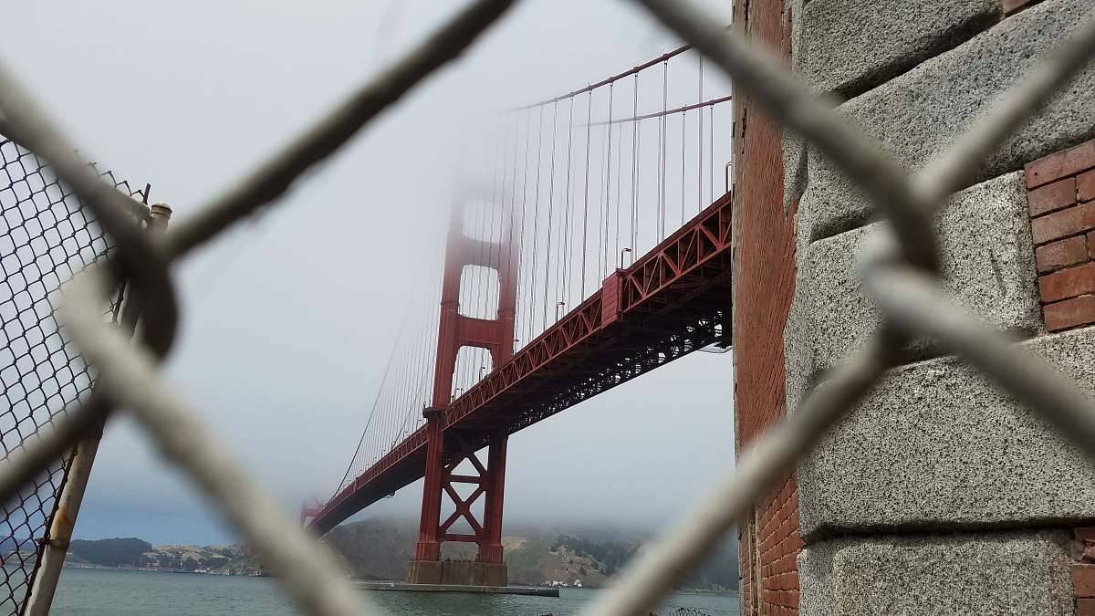 bridge low angle photography of Golden Gate Bridge, San Francisco san francisco