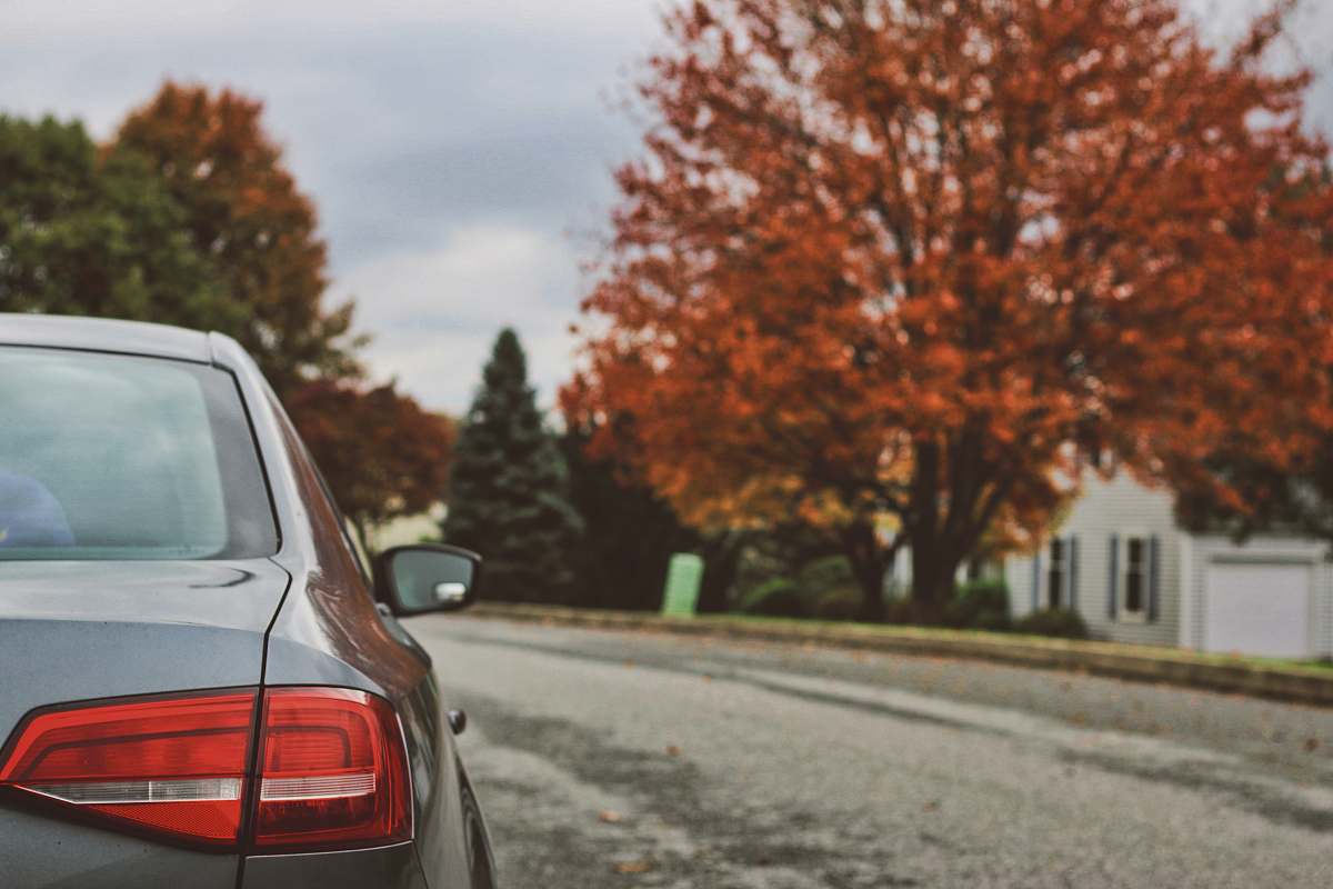 automobile gray car near brown leafed tree transportation