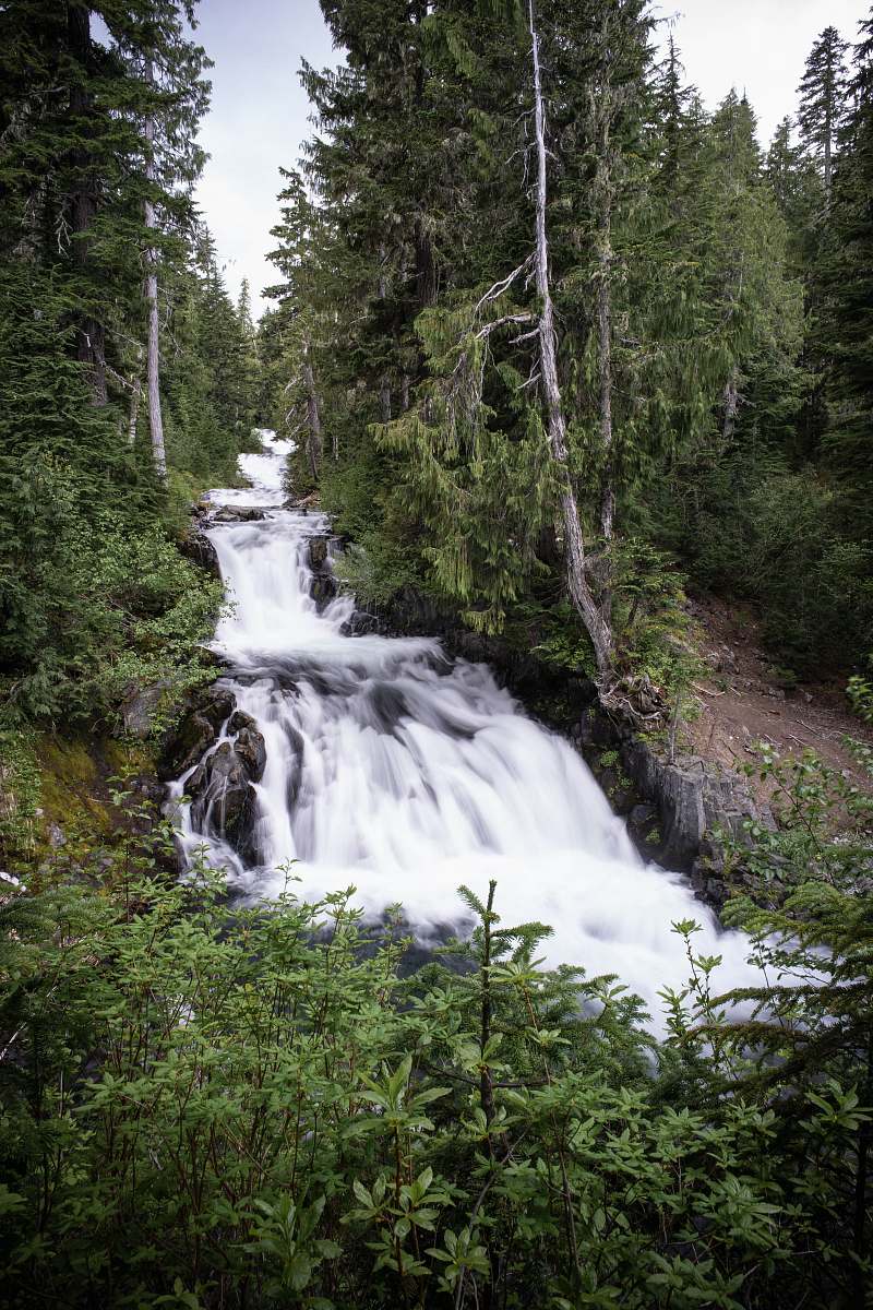 outdoors time lapse photography of river between trees stream