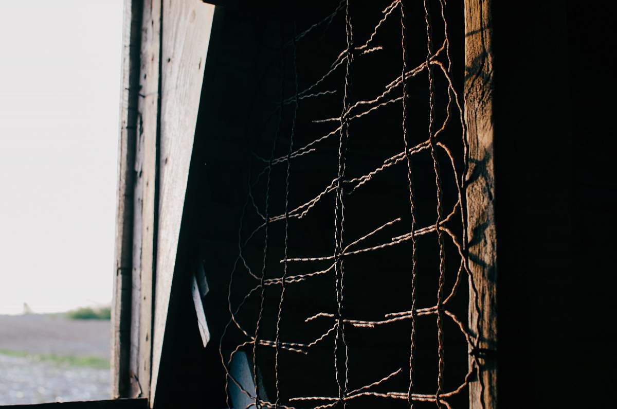 chicken brown metal barbwire nera plank fence
