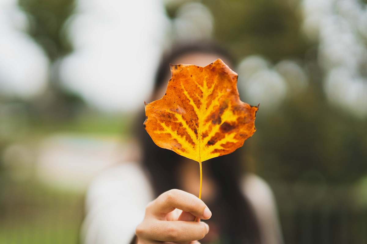 leaf woman holding brown leaf maple leaf
