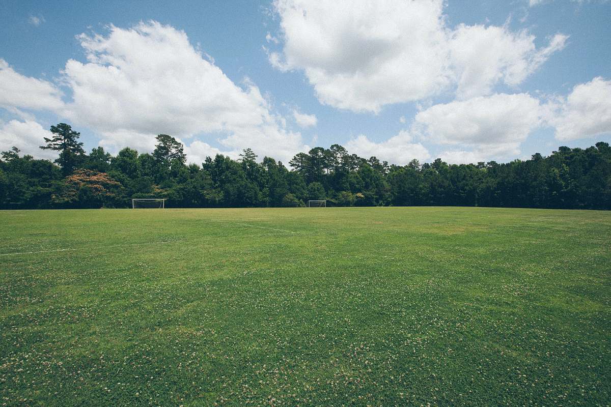 ywco green grass field athens