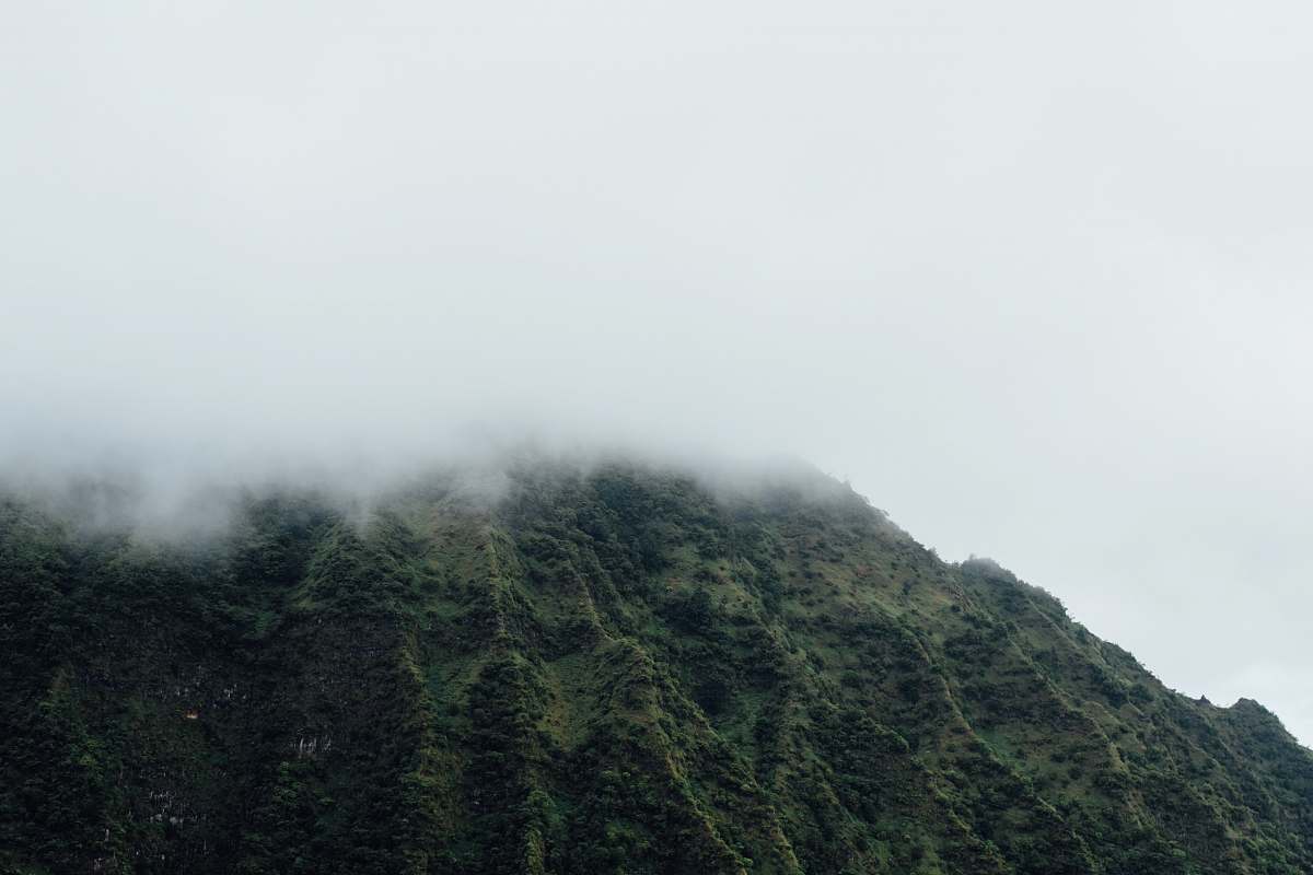 fog green mountain covered by clouds at daytime mountain
