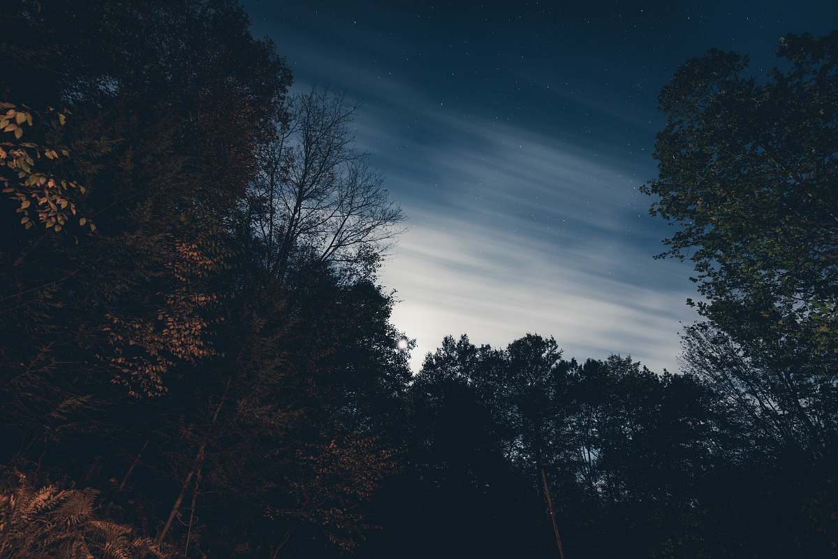 sky silhouette of trees under blue sky equinunk
