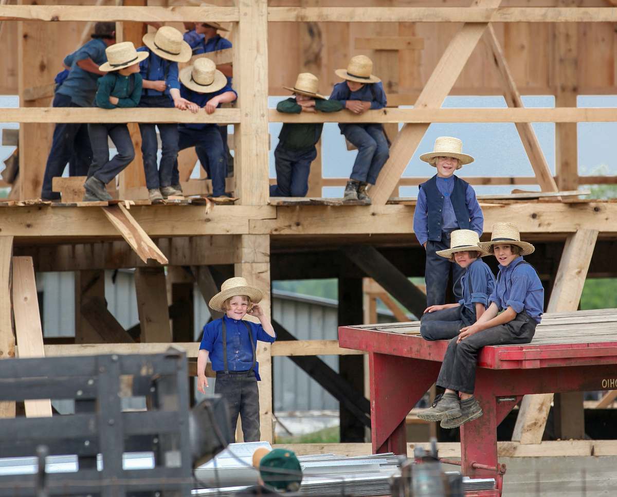 person group of children wearing blue shirts and pants climbing on wood during daytime people