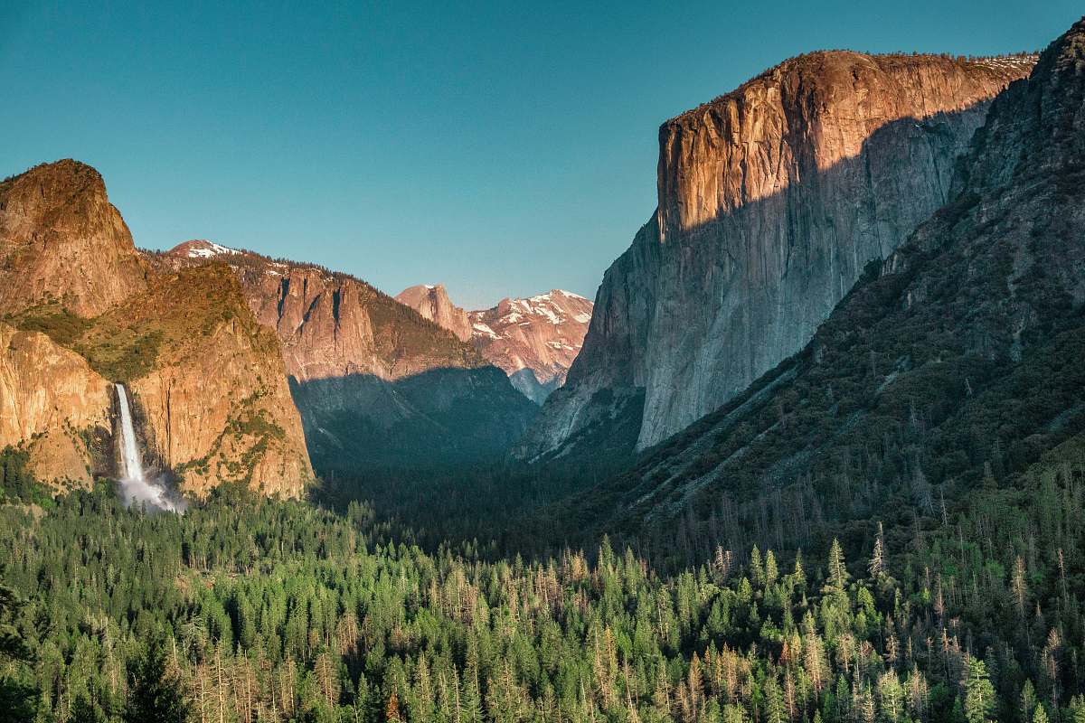 outdoors field of trees near mountain tree