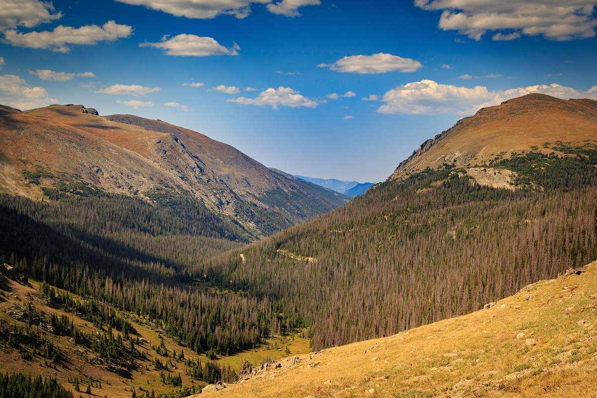 nature green mountain scenrey mountain range