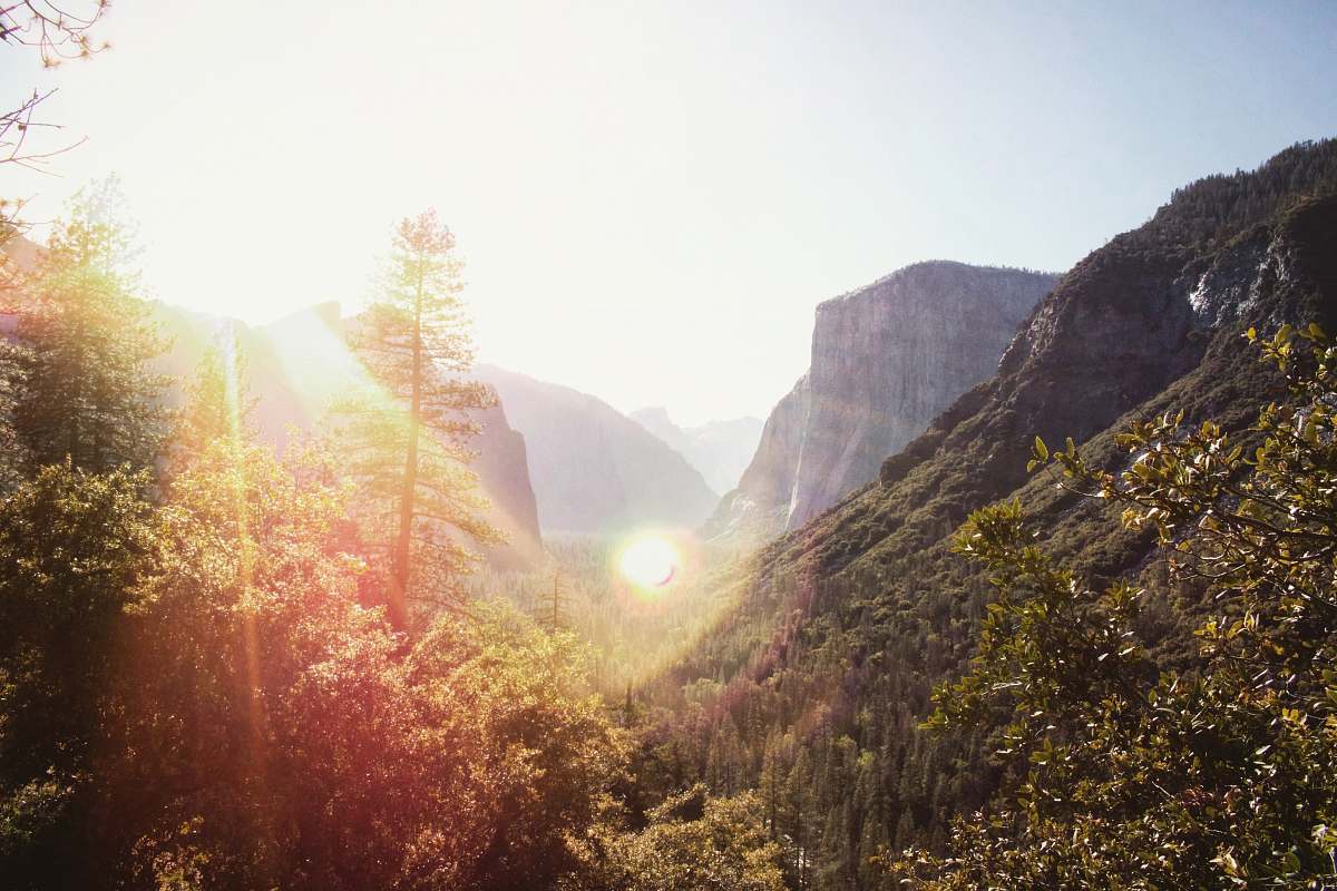 flare aerial photography of mountain covered with trees light
