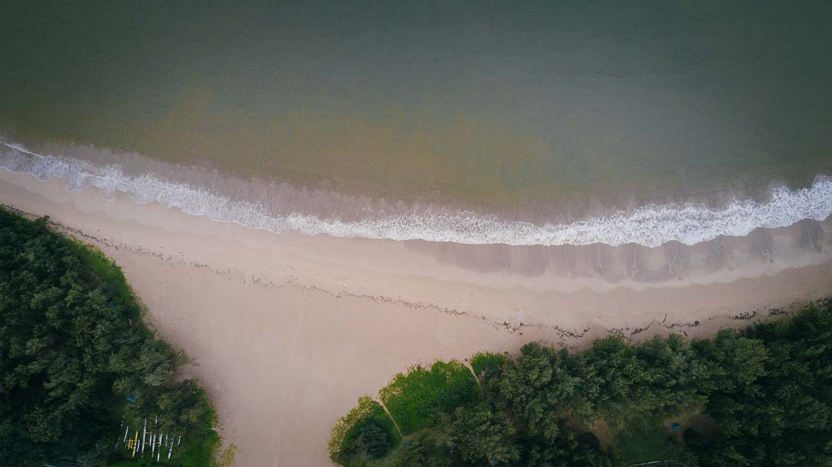 beach aerial view of beach near green leafed tree and ocean water during daytime sea