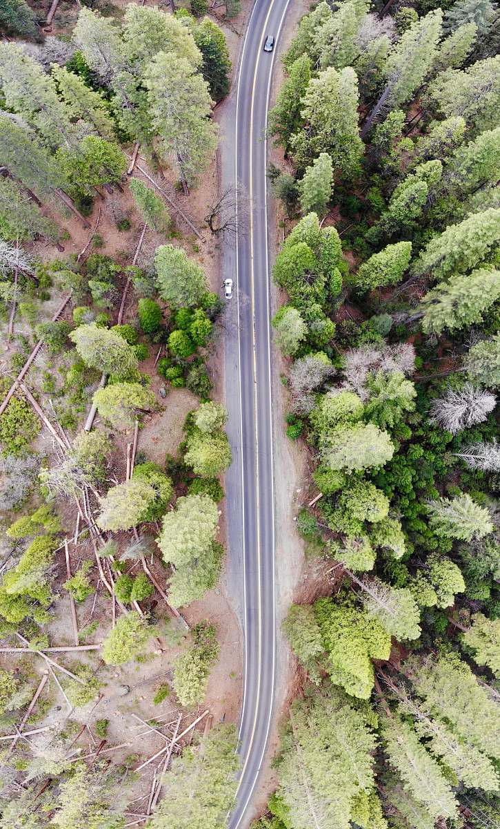 landslide bird's-eye view photography of road surrounded with trees tree