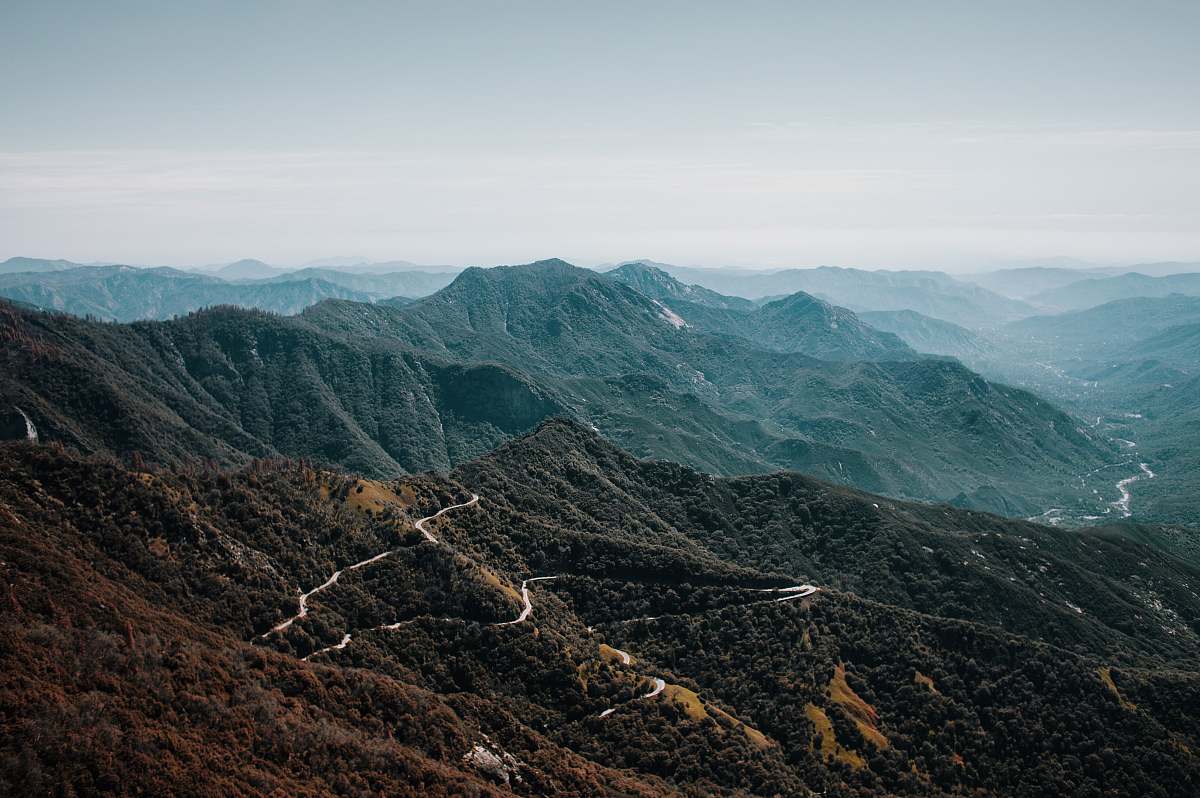 mountain brown forest on mountain crest