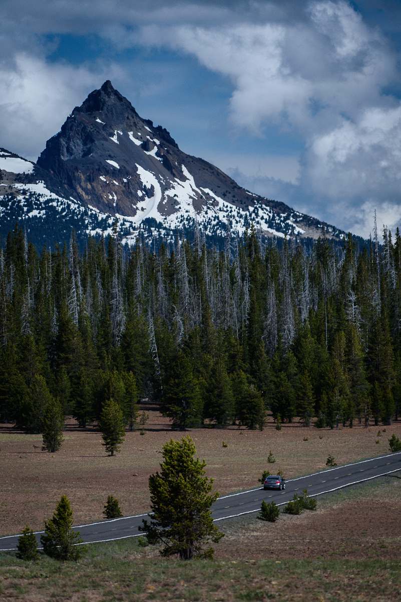 mountain car on gray concrete tree heading to pine tree area tree