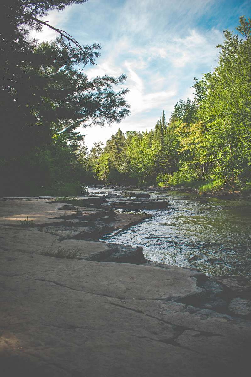 outdoors river and trees water