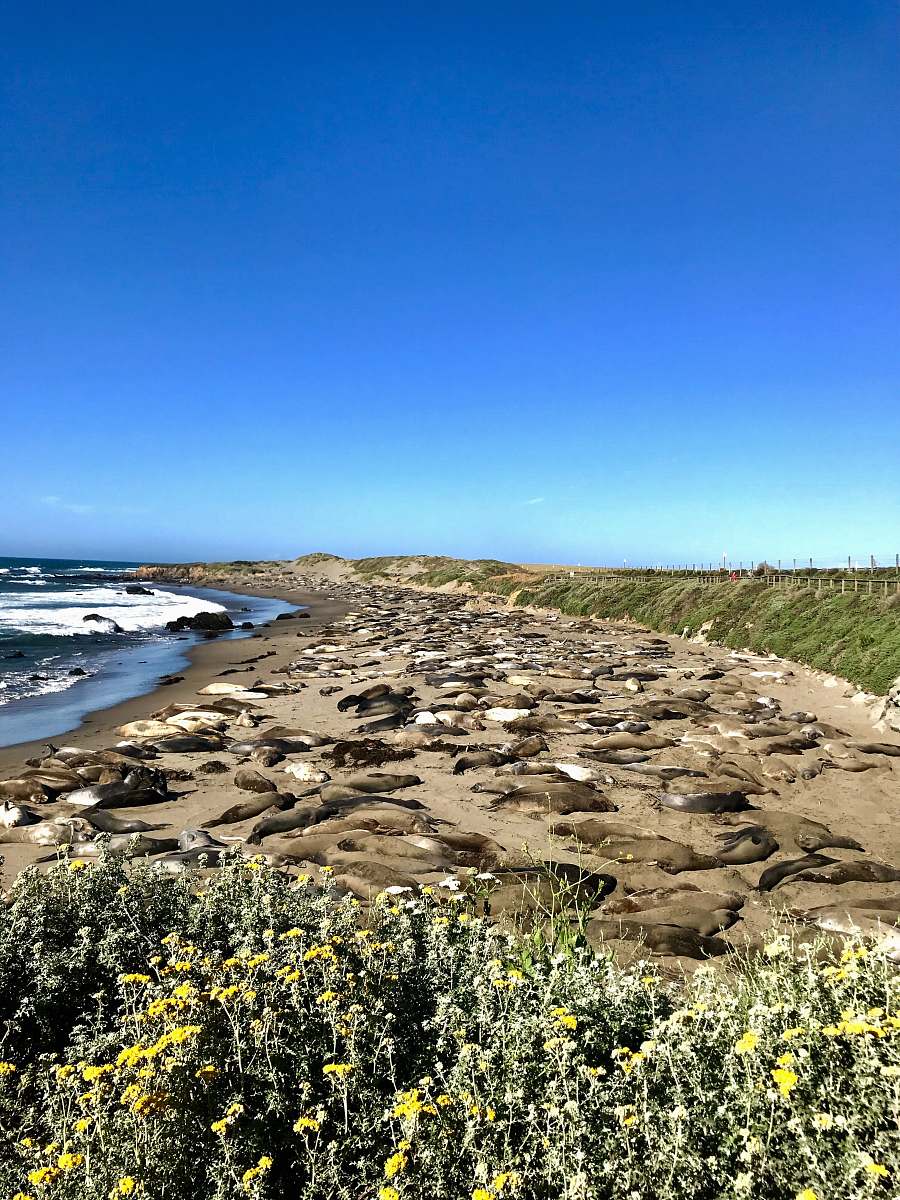 outdoors seashore under clear blue sky land