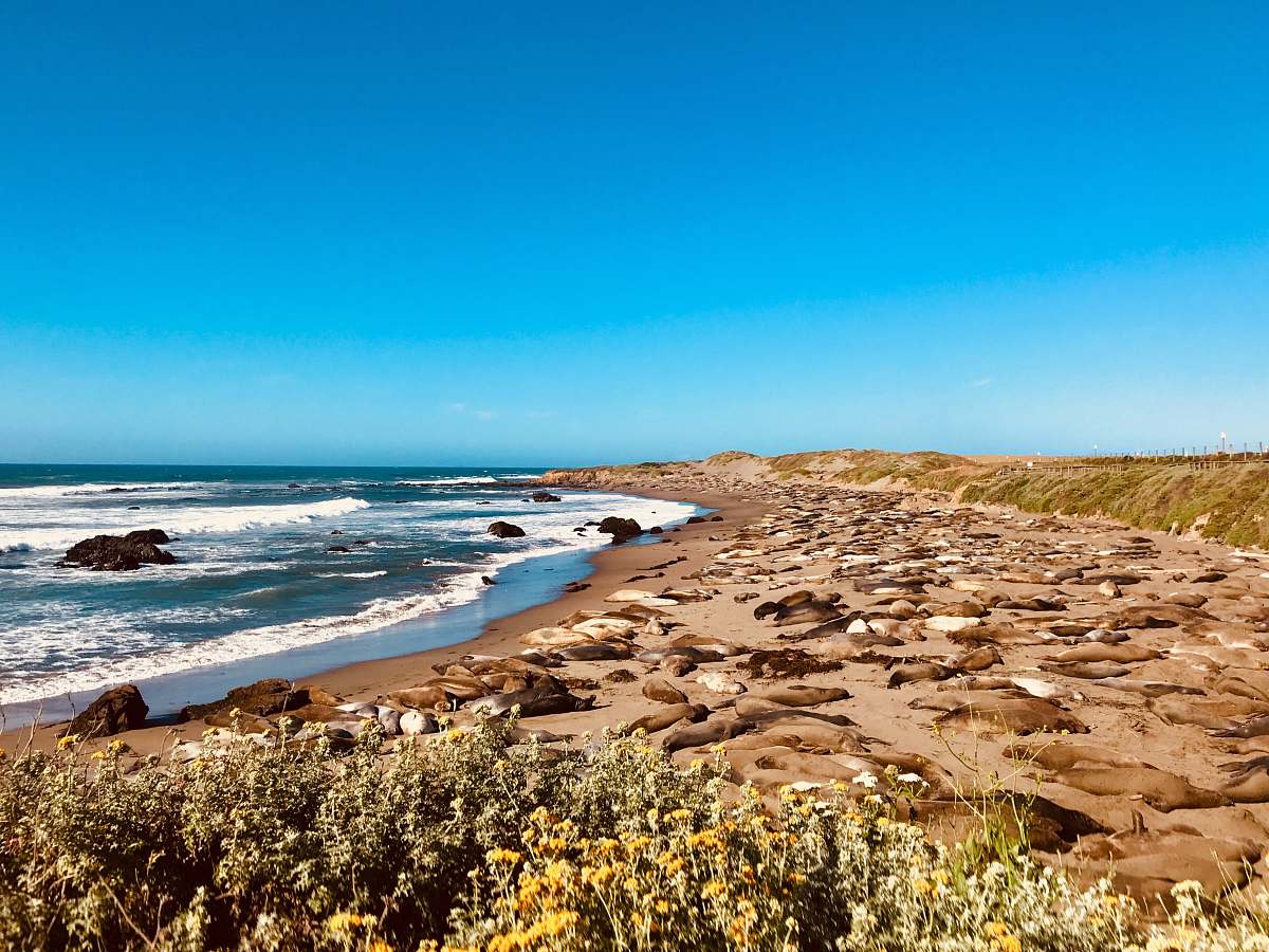 promontory seashore under clear blue sky ocean