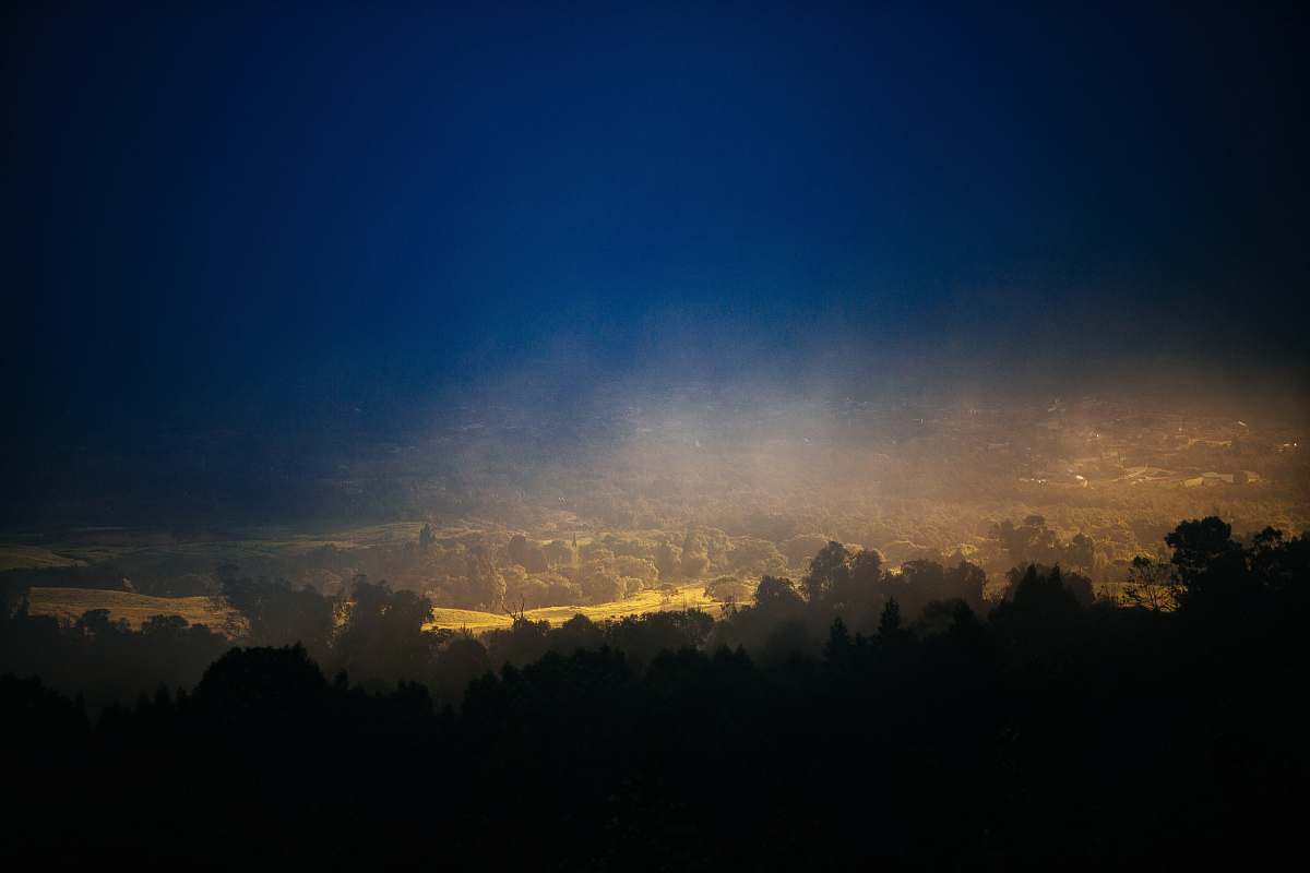 sunset silhouette photography of trees kula