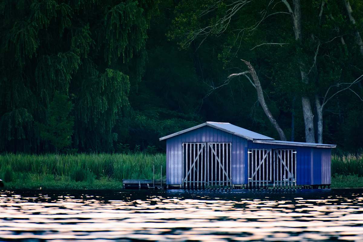 building blue wooden house beside trees nature