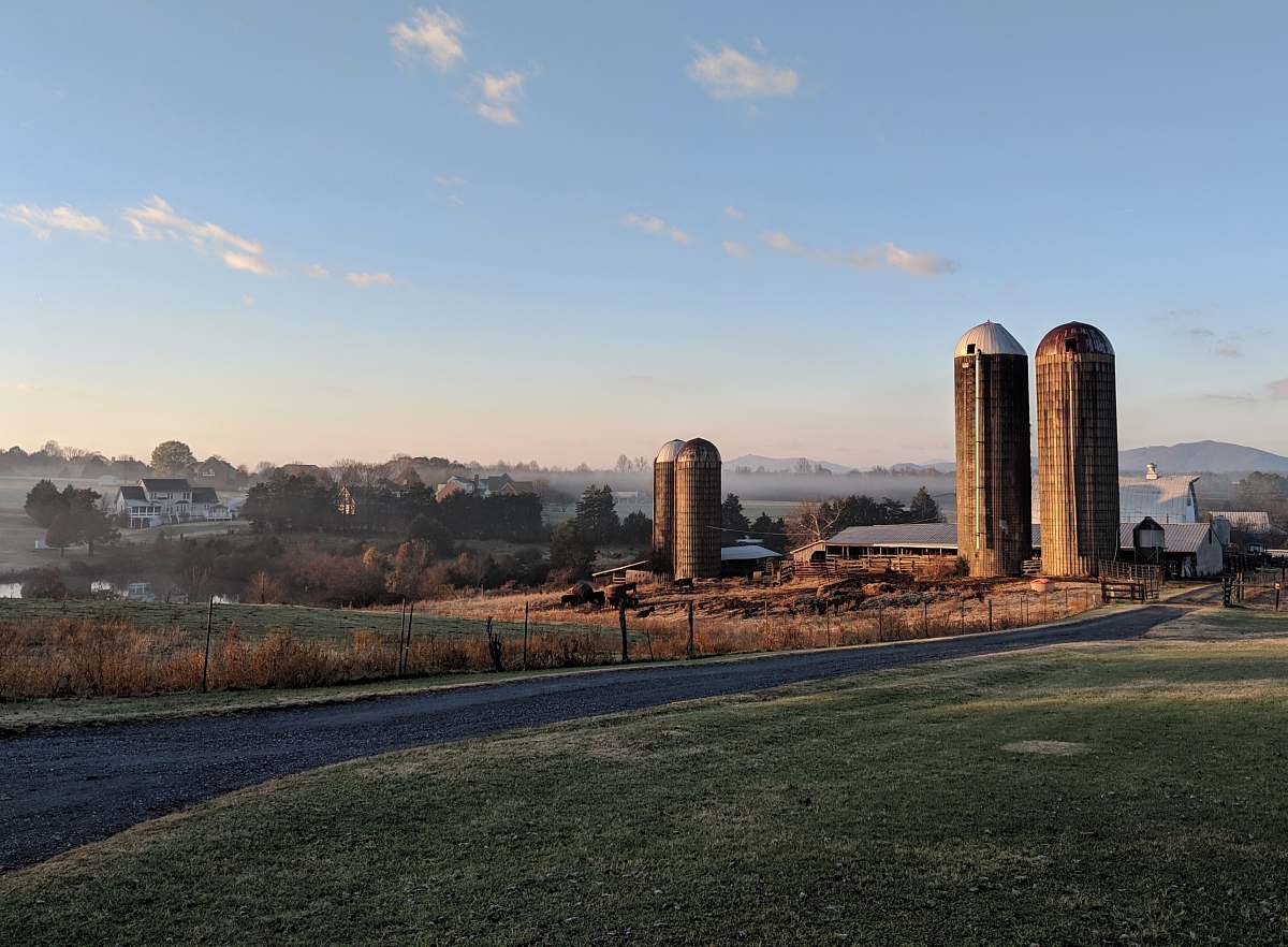 plant concrete buildings under clear blue sky grass