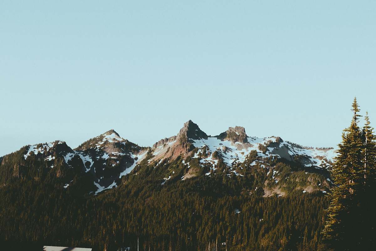 mountain photo of green forest near mountain range nature