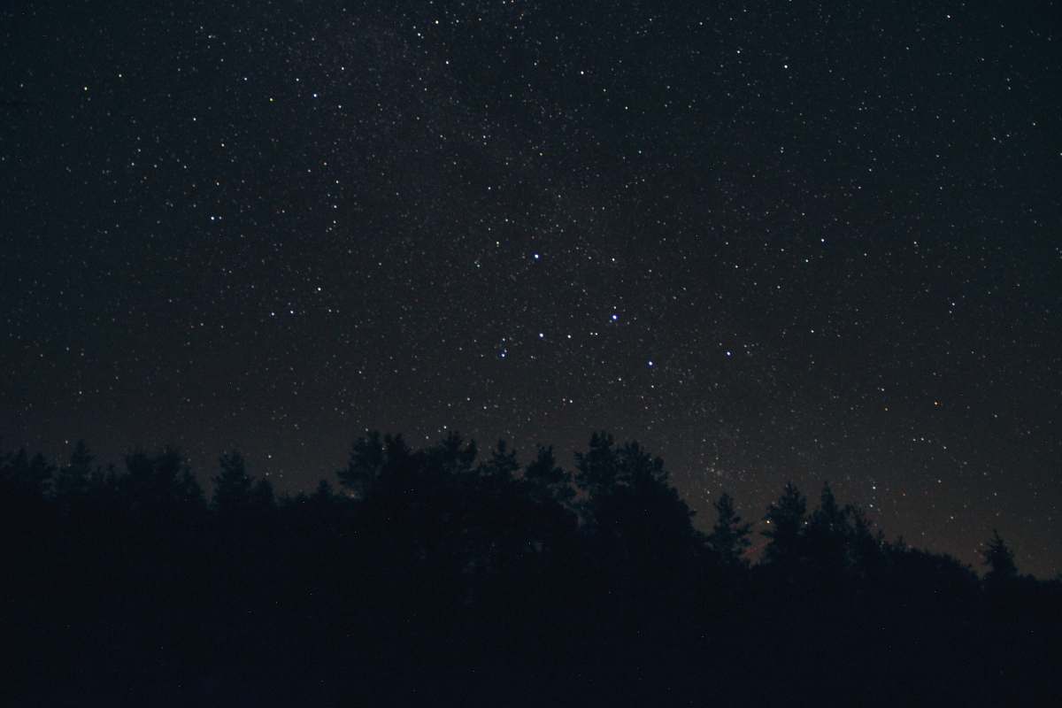 night silhouette of trees at night astronomy