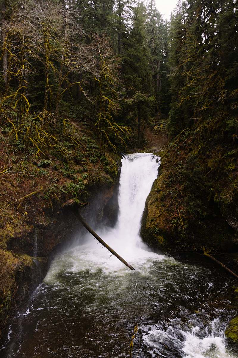 water waterfall during daytime nature
