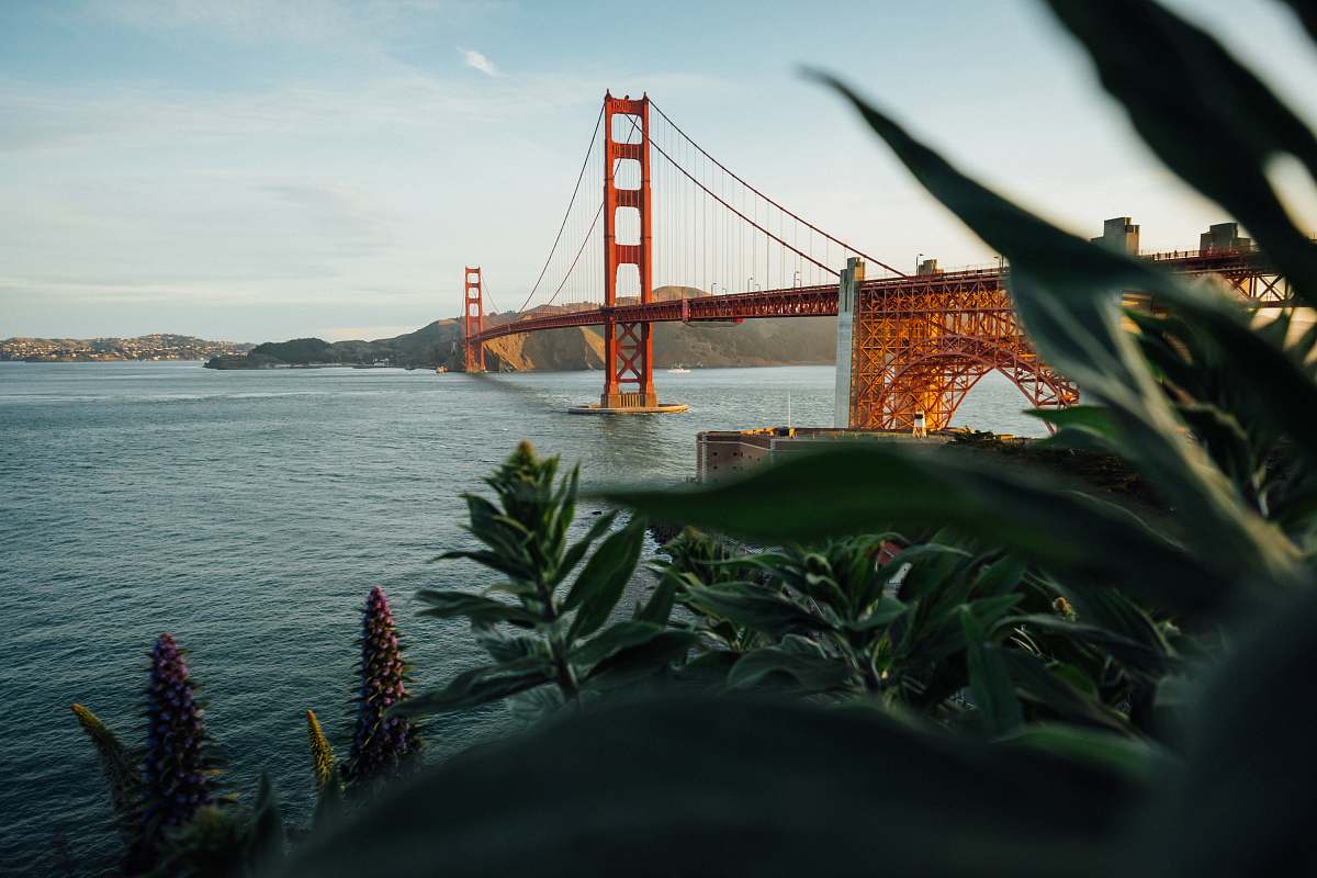 human Golden Gate Bridge, California bridge