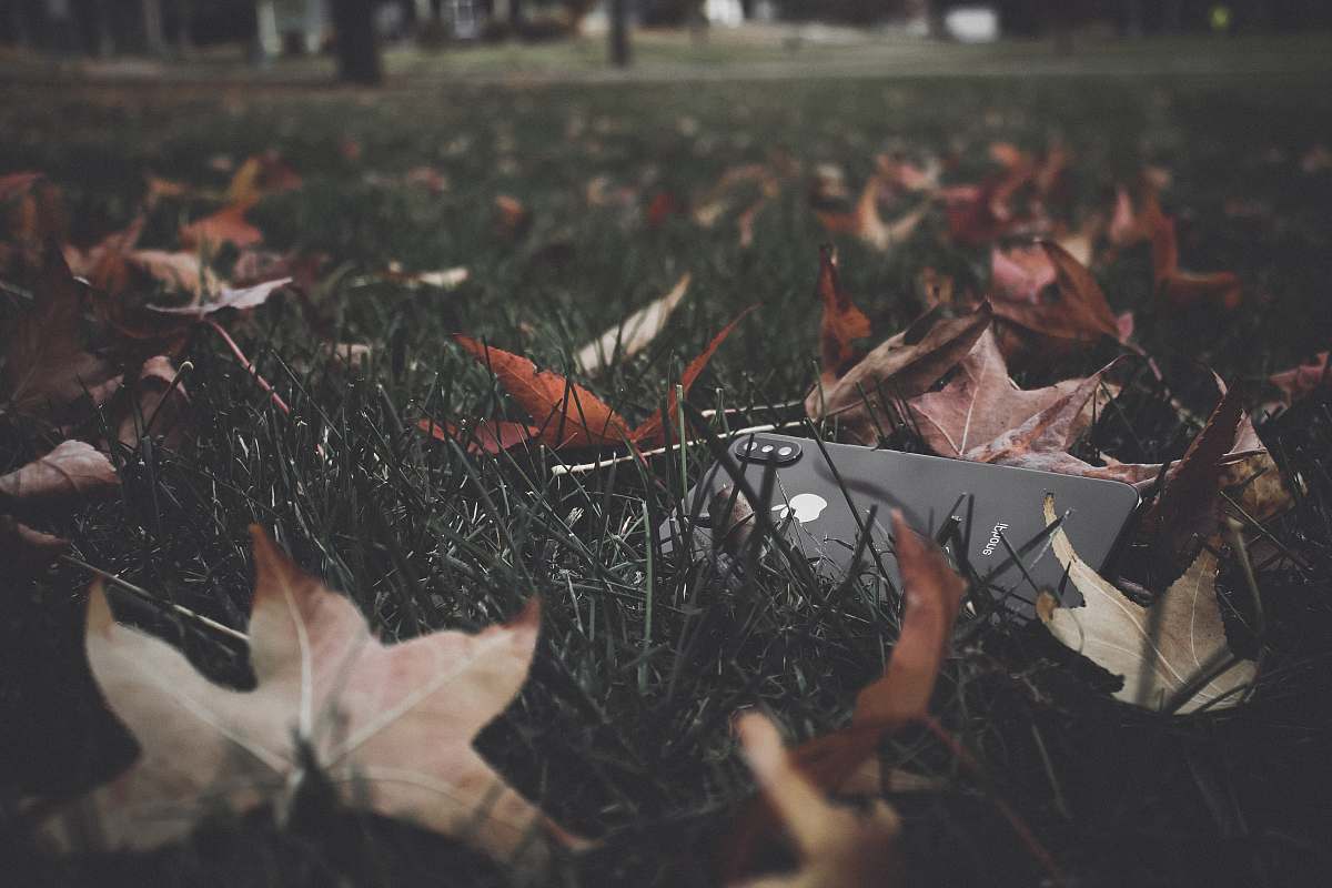 human leaf photography during daytime people