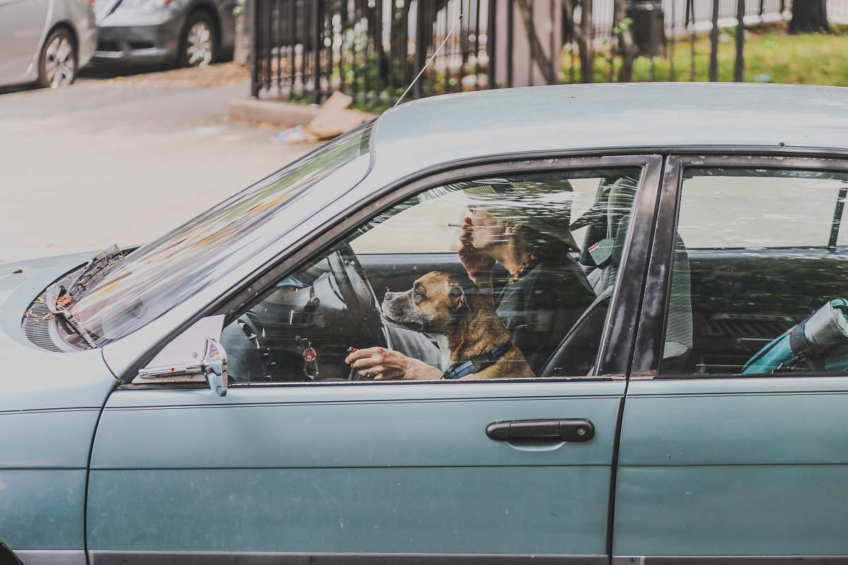 human person driving a car car