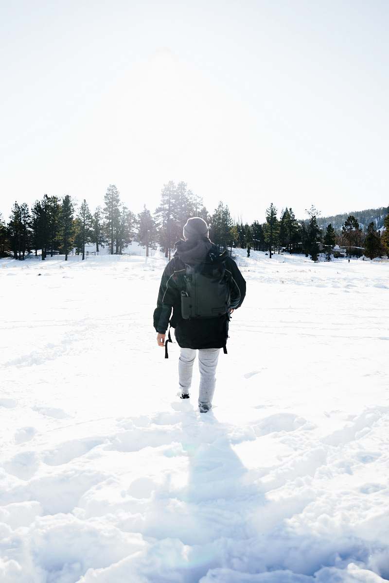 plant person walking on snow during daytime tree