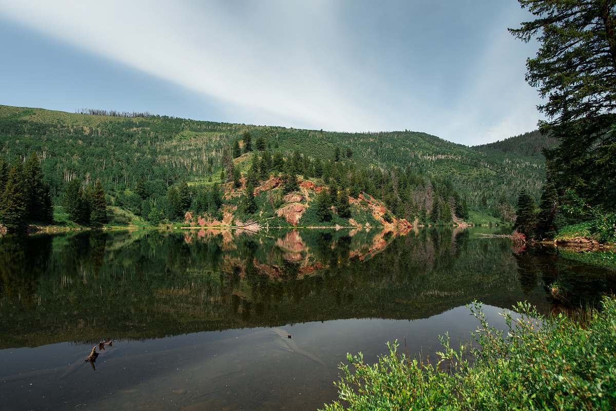 nature body of water near green trees at daytime water