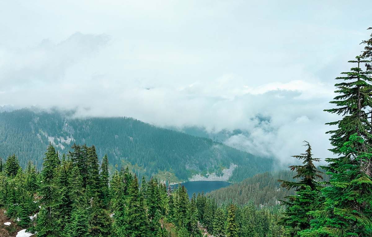 tree lake surrounded with tall and green trees under white skies abies