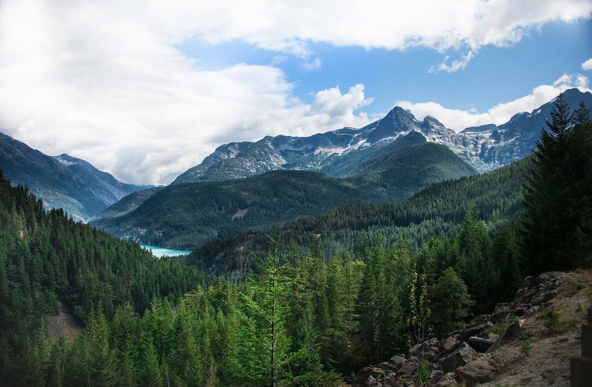 tree mountain covered with snow under blue and white skies abies
