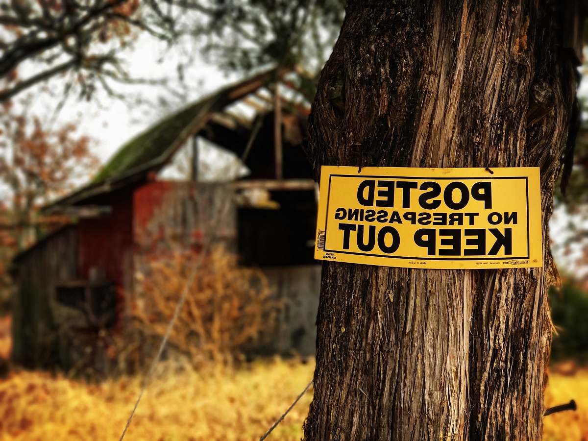 tree Posted No Trespassing Keep Out signage on tree at daytime tree trunk