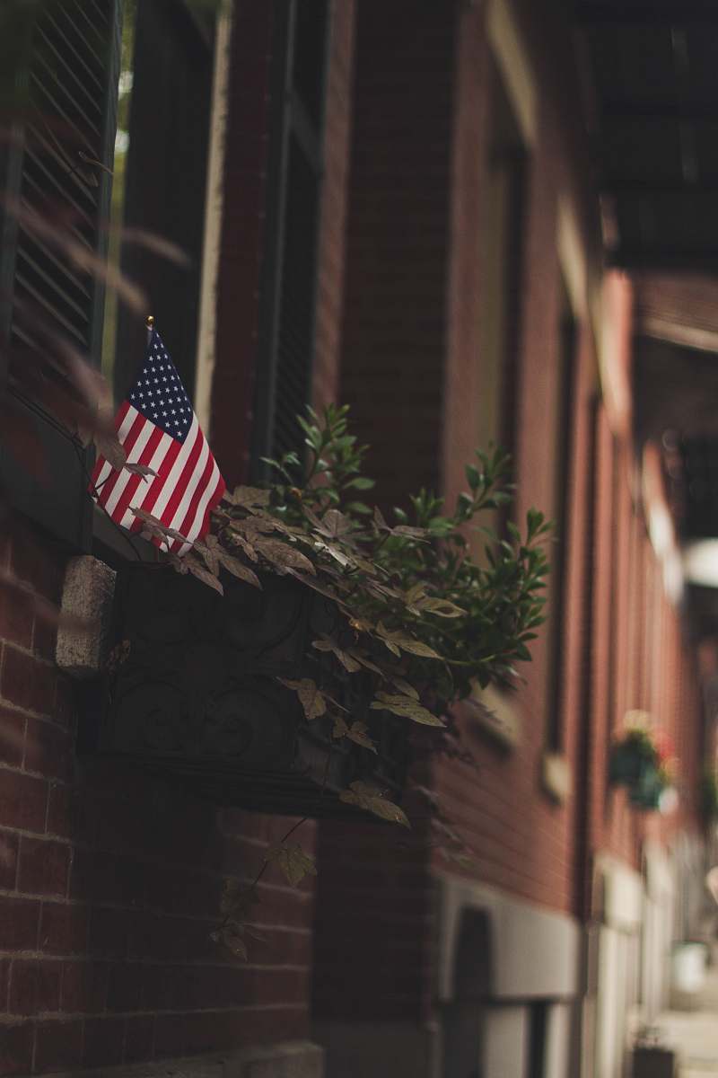 flora selective focus photo of American flag and leaf jar
