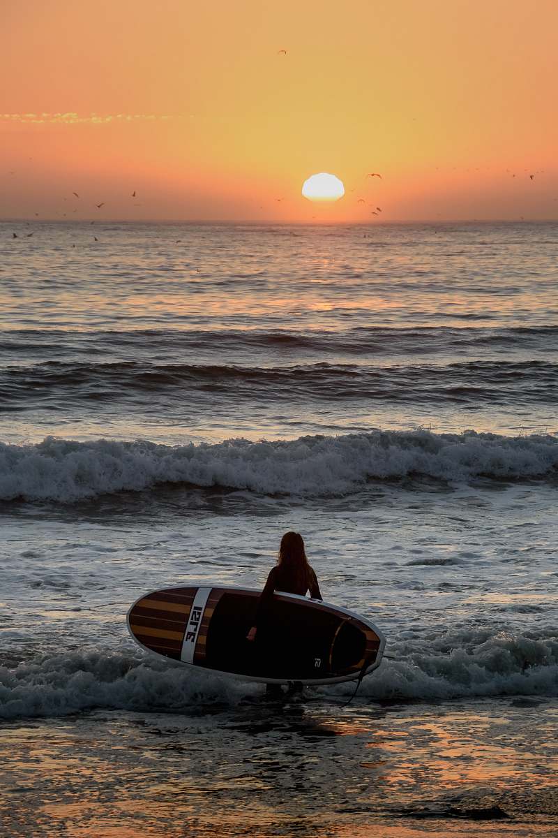 ocean person carrying surfboard on seashore during sunset beach