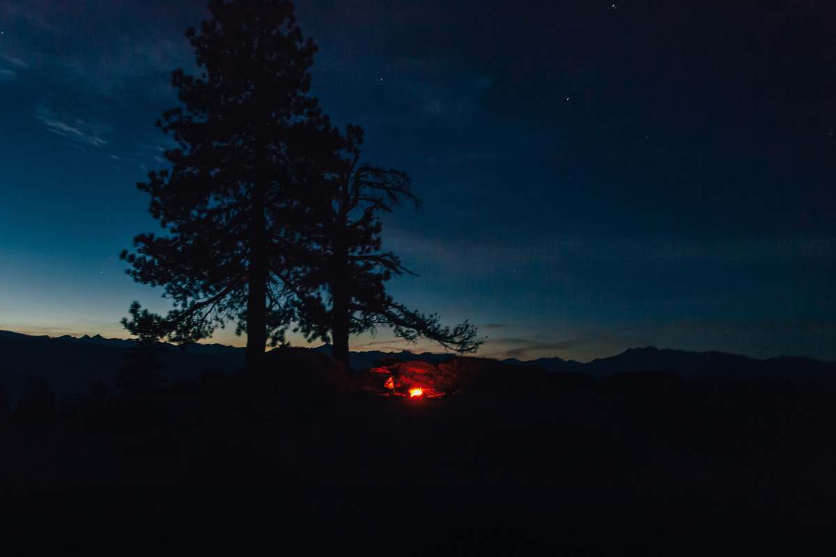 nature silhouette of trees outdoors