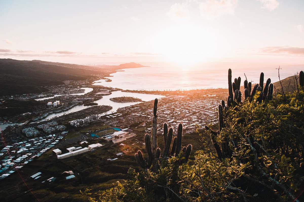 plant aerial photography of city during daytime ocean