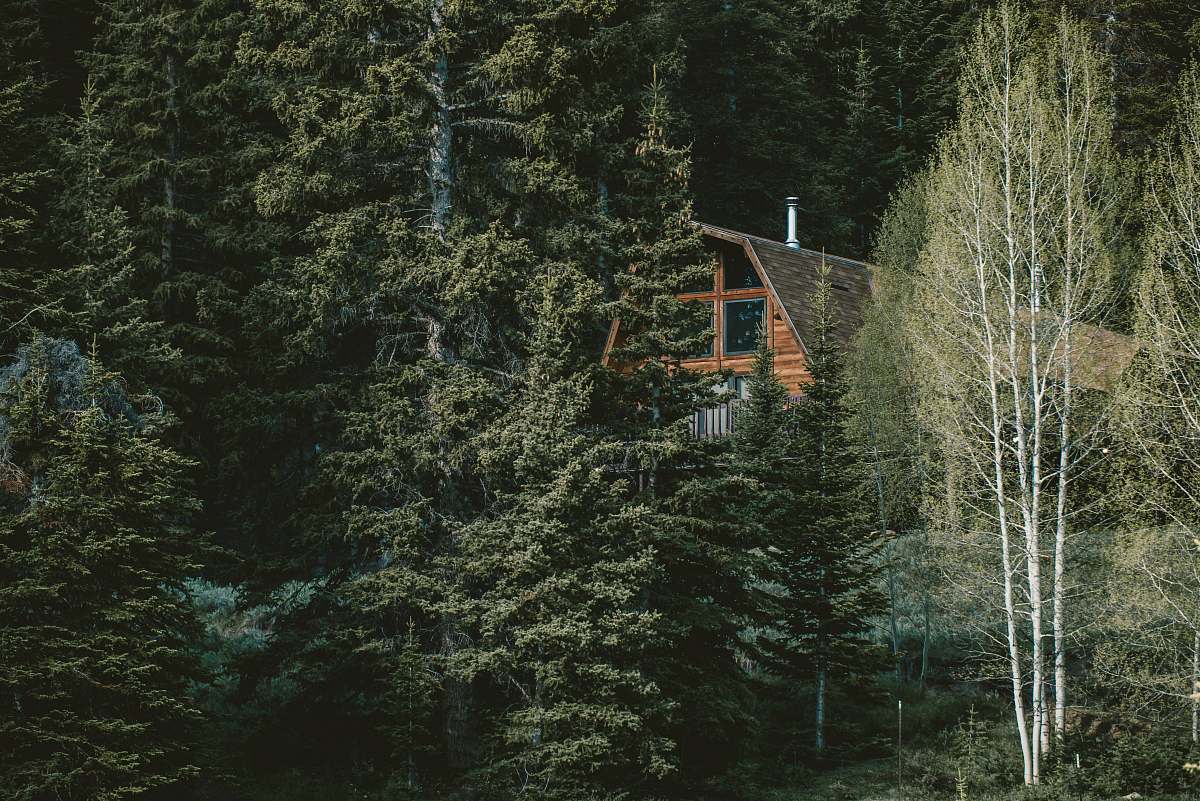 plant aerial photography of house near tres abies