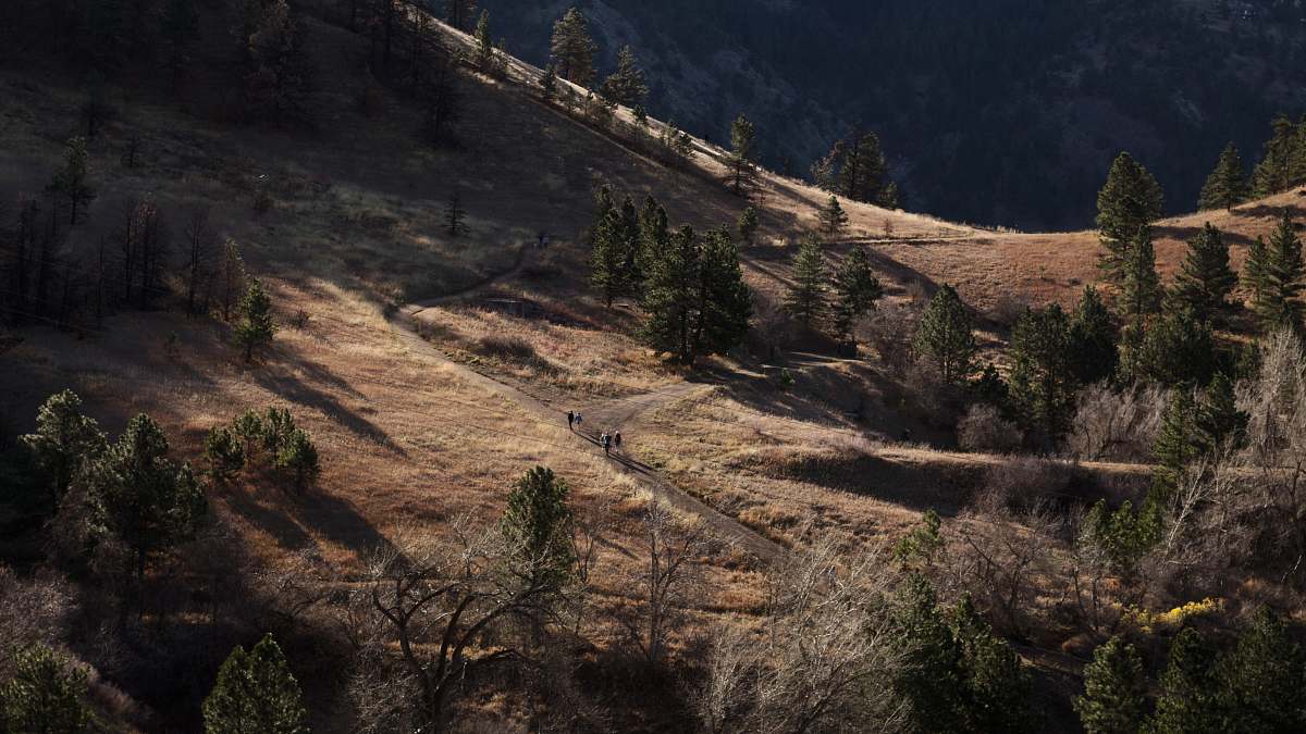 boulder bird's eye photography of trees forest