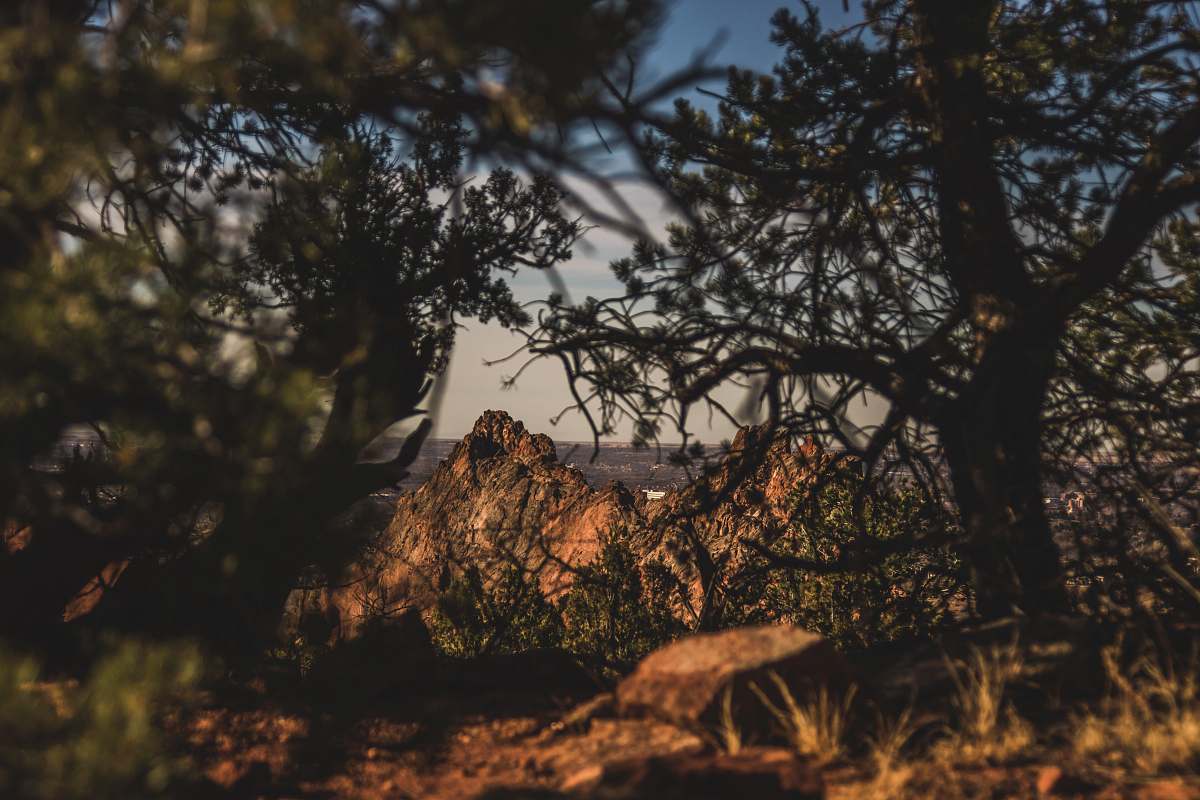 forest brown rocky mountain garden of the gods road