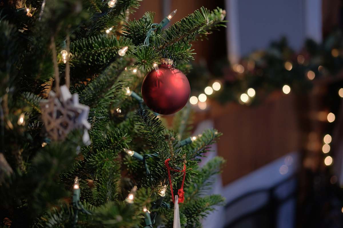 ornament shallow focus of bauble ball christmas