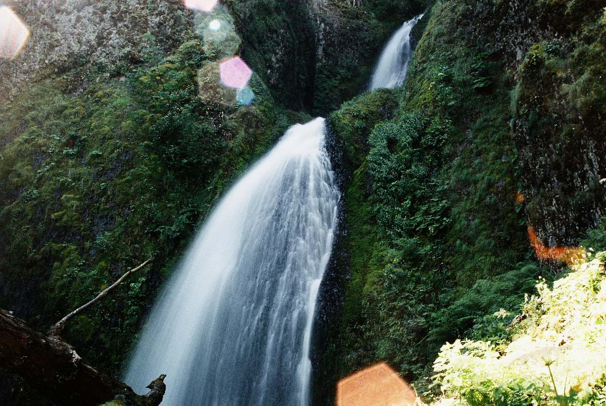 forest waterfalls in between mountain covered with green plant s waterfall