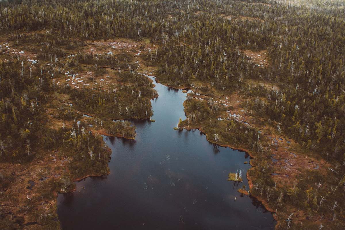 outdoors aerial photography of lake surrounded with trees at daytime ketchikan