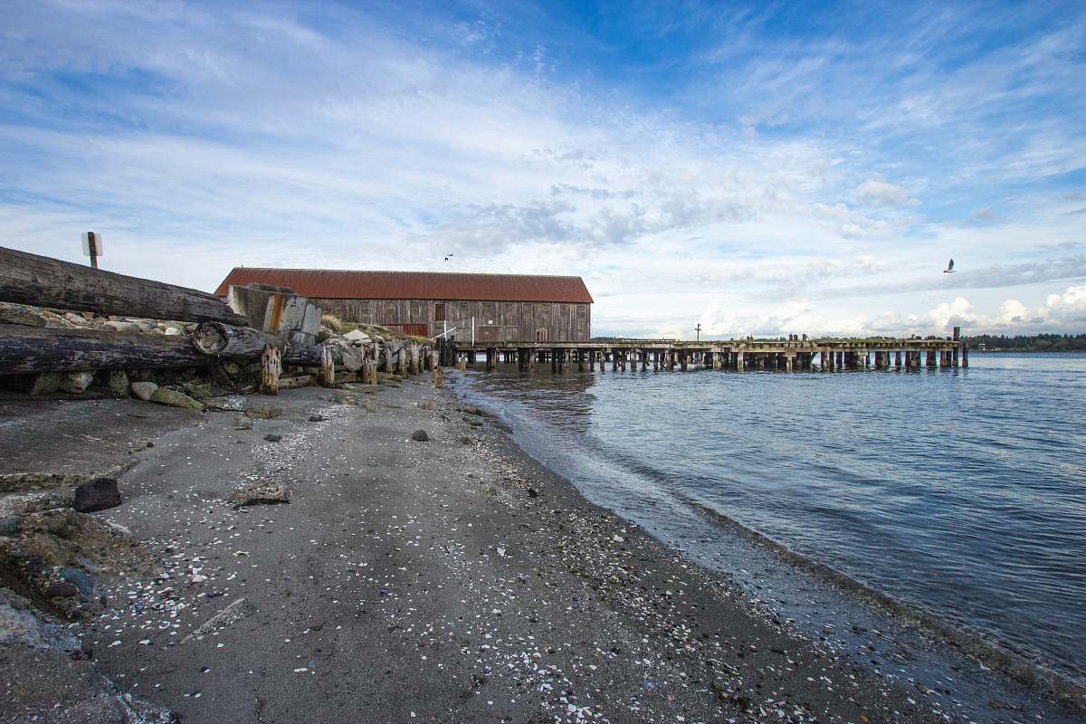 dock beach dock and seashore view pier