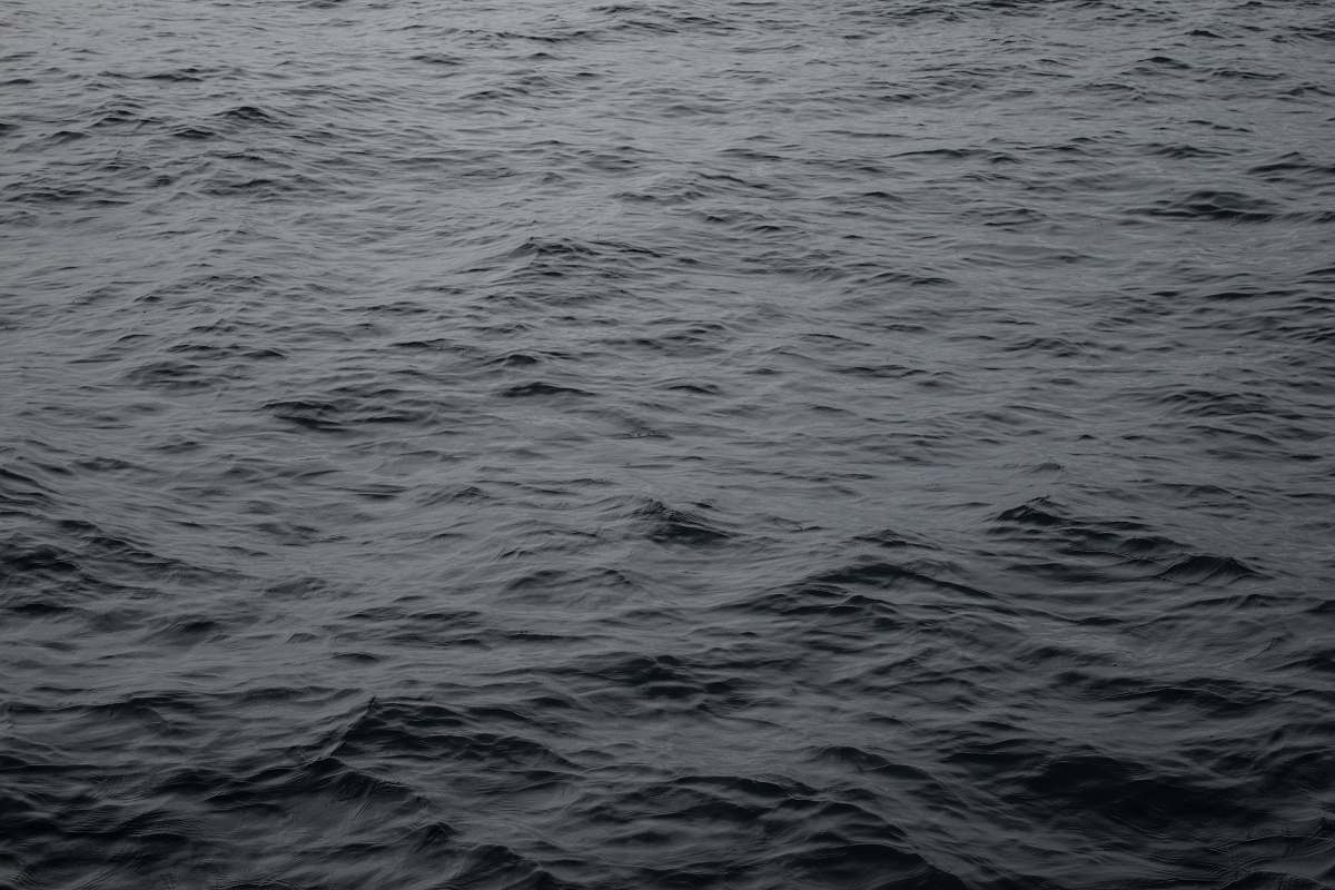grey clear body of water san diego