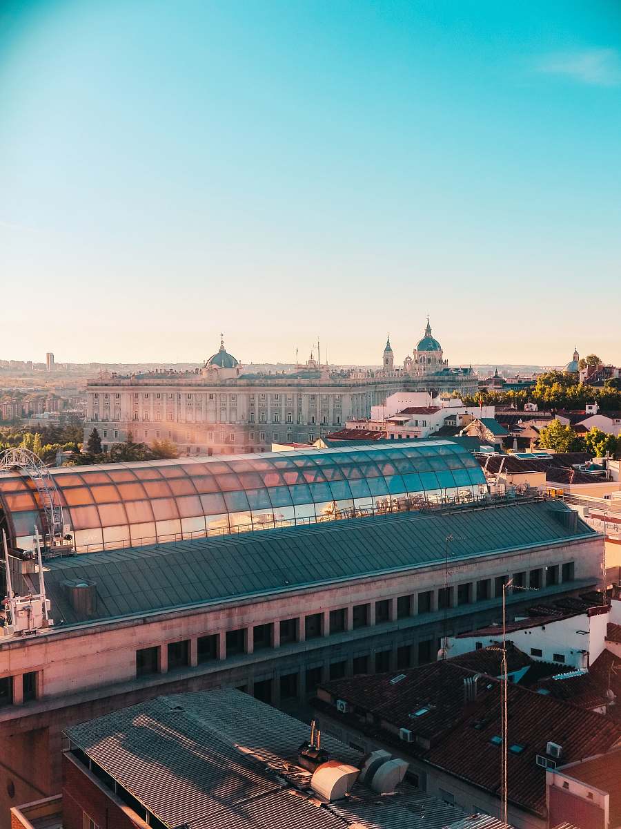 building aerial photo of city dome