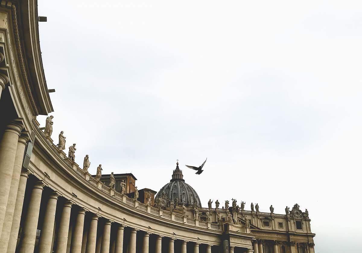 building bird flying above building during day dome