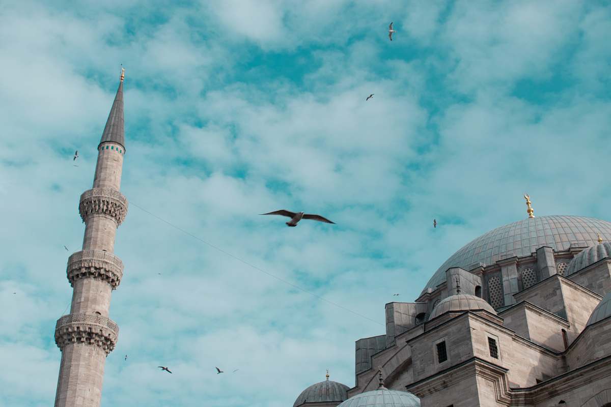building birds flying above mosque during daytime dome